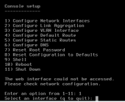 ConsoleSetup-MissingNIC1.png