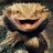 lyzard